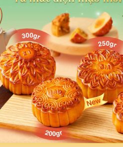 Bánh trung thu givral thập cẩm gà quay vi cá đặc biệt